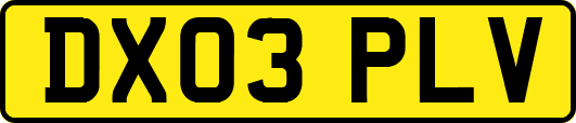 DX03PLV