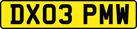 DX03PMW