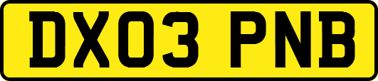 DX03PNB