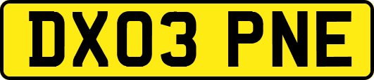 DX03PNE