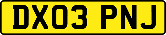 DX03PNJ