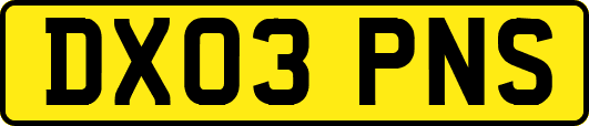 DX03PNS