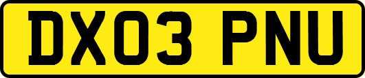 DX03PNU