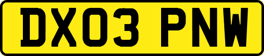 DX03PNW