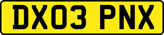 DX03PNX