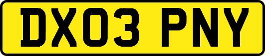 DX03PNY