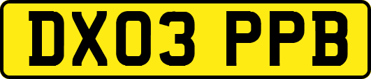 DX03PPB