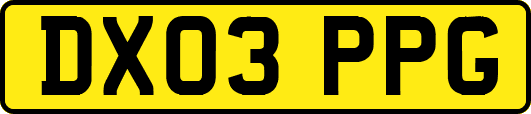 DX03PPG