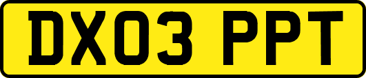 DX03PPT