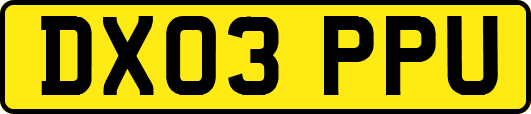 DX03PPU