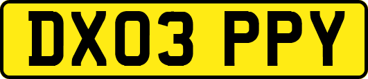 DX03PPY