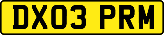 DX03PRM
