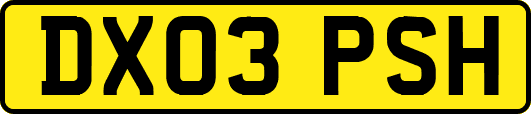 DX03PSH