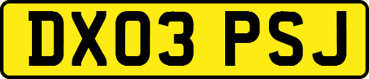 DX03PSJ
