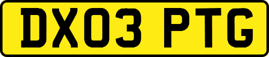 DX03PTG