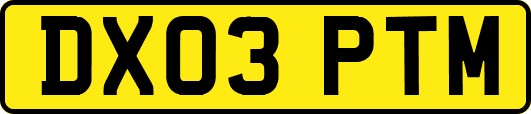 DX03PTM