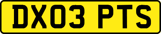 DX03PTS