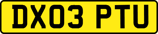 DX03PTU