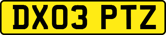 DX03PTZ