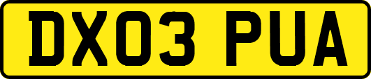 DX03PUA