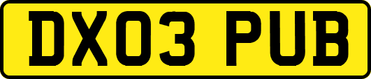 DX03PUB