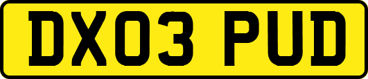 DX03PUD
