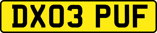 DX03PUF