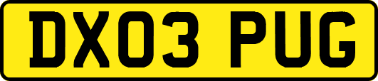 DX03PUG