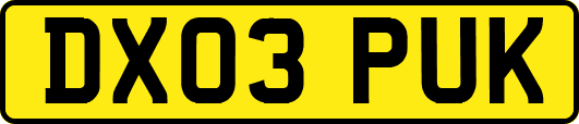 DX03PUK