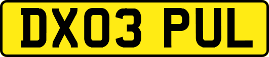 DX03PUL