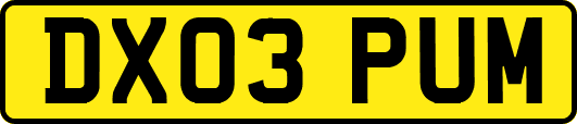 DX03PUM