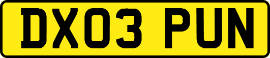 DX03PUN