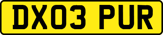 DX03PUR