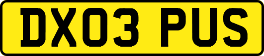 DX03PUS