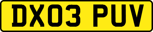 DX03PUV