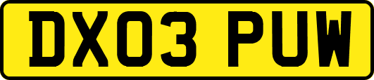 DX03PUW
