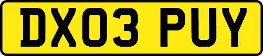 DX03PUY
