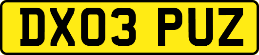DX03PUZ