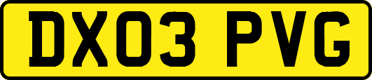 DX03PVG