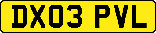 DX03PVL