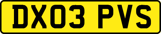 DX03PVS