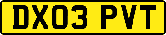 DX03PVT