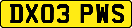 DX03PWS