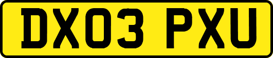DX03PXU