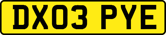 DX03PYE