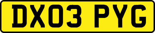 DX03PYG
