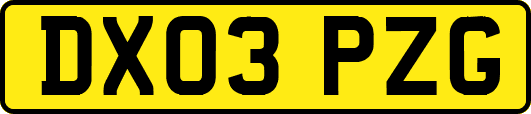 DX03PZG