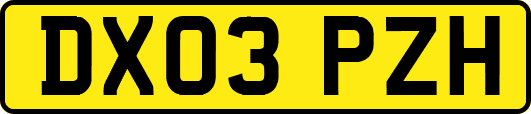 DX03PZH