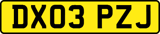 DX03PZJ