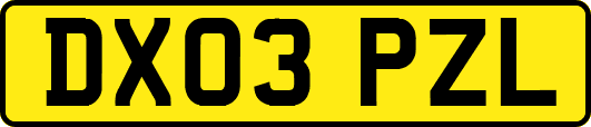 DX03PZL